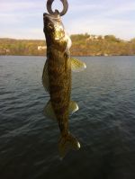 Ray_Walleye.JPG