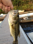 Bobby_with_Bass_caught_off_dock.JPG