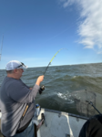 Striper2.png